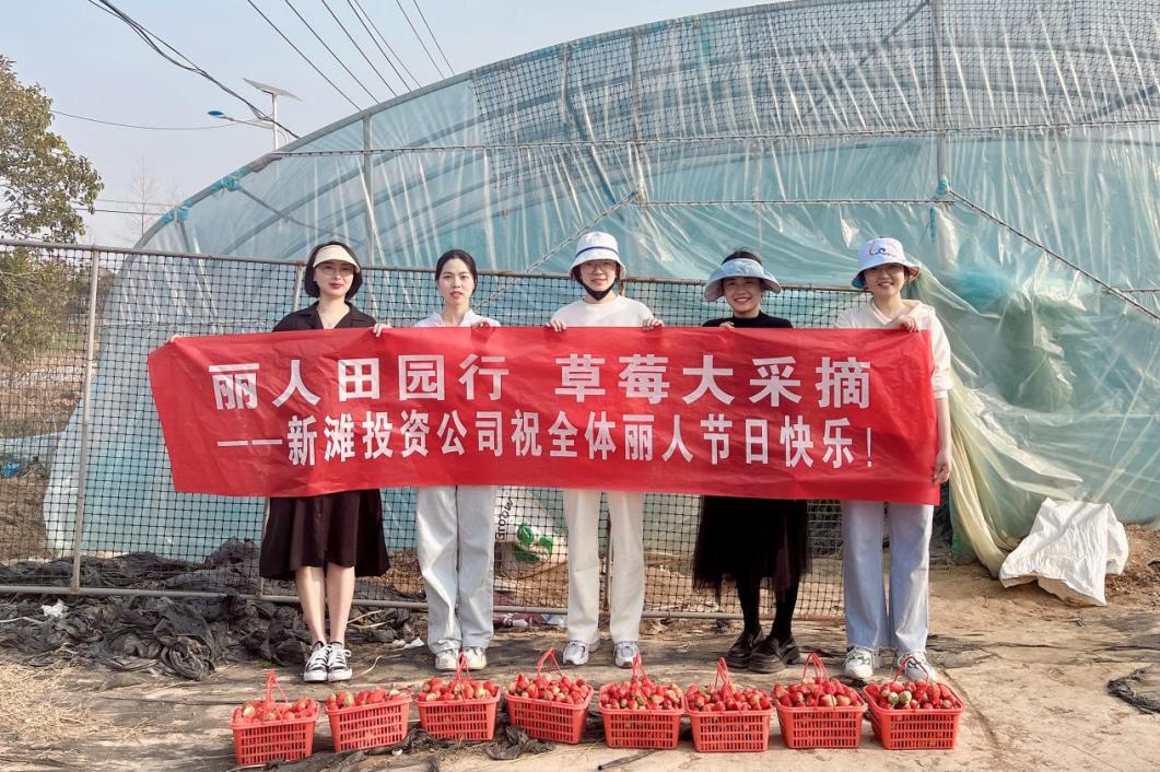 新灘投資公司開展“三八”婦女節草莓采摘活動.jpg